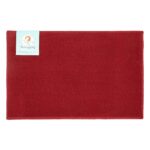 The Sloppy Chef Accent Rugs - 20x30, Red