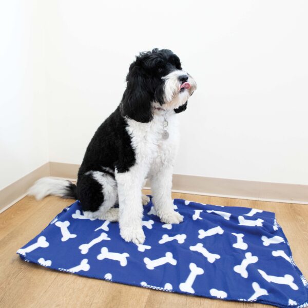 Perro & Gato Pet Blankets