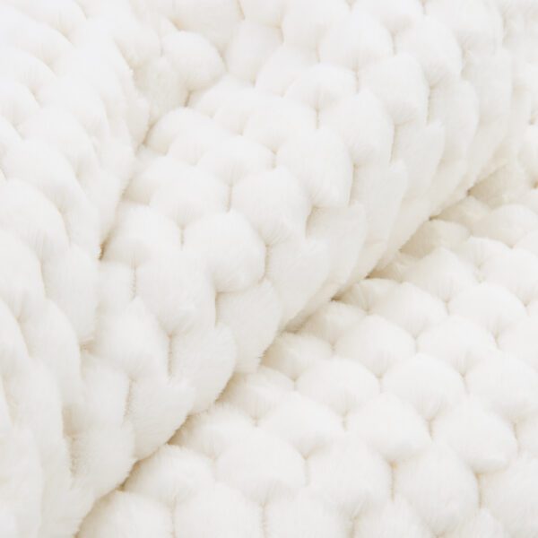 Aston & Arden Faux Fur Throws